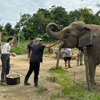 Feeding elephants 