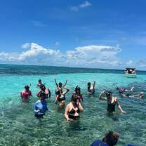 Snorkeling with sharks and stingrays! 