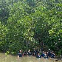 Mangrove warriors