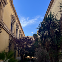 botanical gardens in town/also the law campus for UGR