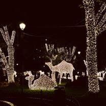 Luces de navidad en la plaza de armas, Morelia 