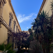 botanical gardens in town/also the law campus for UGR