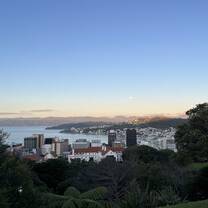 View of Welly on the walk to campus