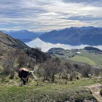 Roy’s Peak in Wānaka, South Island