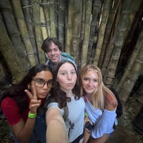In a bamboo forest
