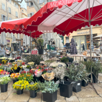 Flower Market