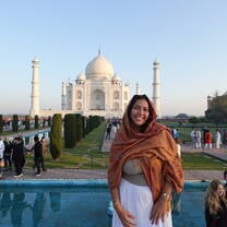 The Taj Mahal 