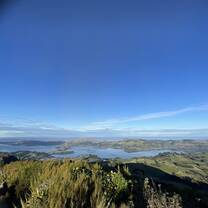 view of the peninsula and harbor from mt cargill