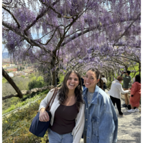 Bardini Gardens!
