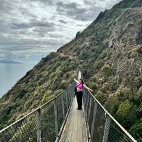 paekakariki escarpment track- IFSA Hike! 