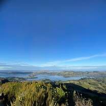 view of the peninsula and harbor from mt cargill