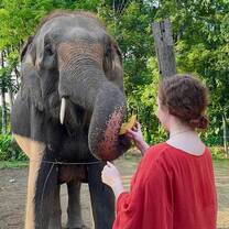 Meet the mother elephant