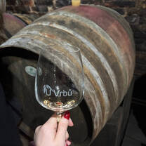 Wine from the family-owned winery we stayed at with our included trip to Moravia