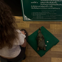 Praying next to a lucky elephant for good fortune 