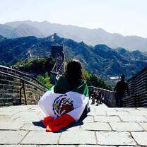 The great wall 