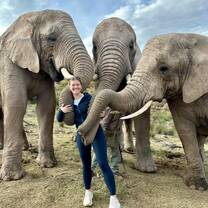 Meeting the Elephants!