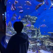 Yeosu Aquarium! 