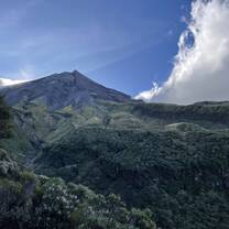 Taranaki