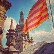 Flag Flies