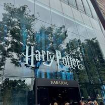 Harry Potter Store (Weekend Fun)