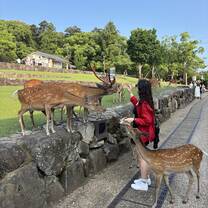 Nara