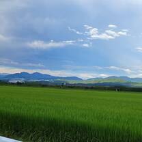 Amazing Landscape