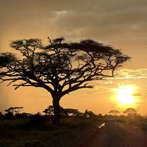 Sunset in Kenya