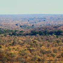 View of the reserve from view point