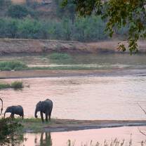 Elephant crossing the river (taken at Rusermi lodge)