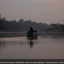 In the Amazon