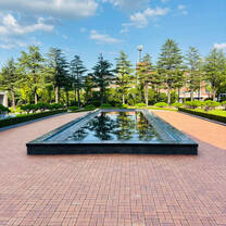 Lastly, Korea is breathtakingly gorgeous. Make sure to snap away!