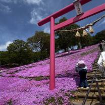 Higashimokoto Shibazakura flower park