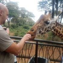 Giraffe 
