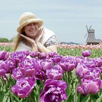 Yubetsu Tulip park
