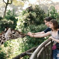 My girlfriend and I feeding a giraffe in Nairobi, Kenya