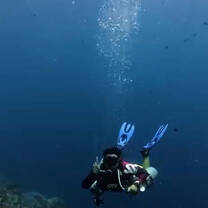 SS of Video, Sidemount OW Dive 1, Sental