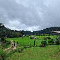 The rice fields in Doi Inthanon National Park 