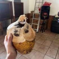 Coco Fruit
