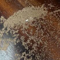 Termintes and rat poo on the kitchen surfaces, bedrooms and bathrooms 