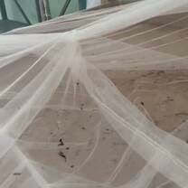 Rat poo on the mosquito nets on the beds - rats crawling on the beds 
