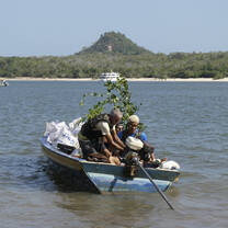 reforestation