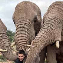 Hugging Elephants