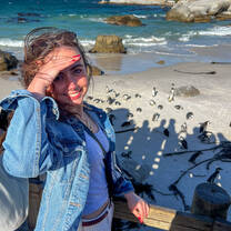 At Boulders Beach to visit the African Penguin colony 