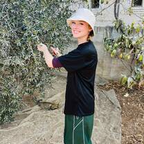 Olive harvest