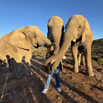 Garden Route, South Africa