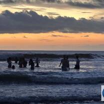 Swimming with my new friends at sunset