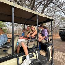 On Safari