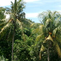 view from accomodation balcony