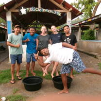turtle release