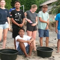 releasing turtles